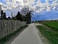 ze šwihu 24.2.2021